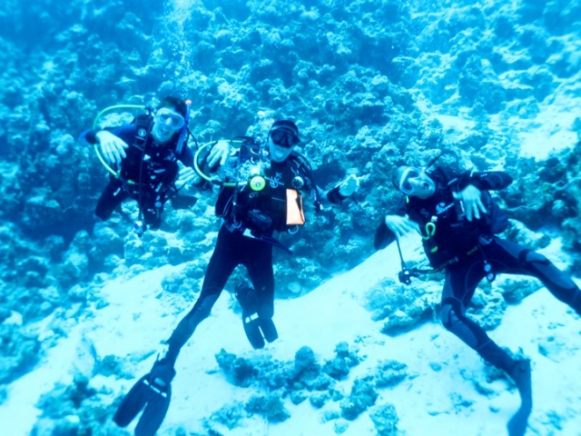 Haciendo el tonto bajo ela gua